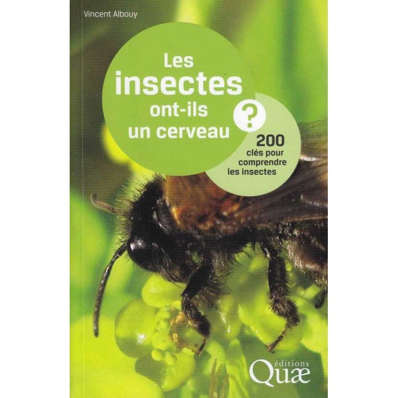 Les insectes ont-ils un cerveau ? - Vincent Albouy