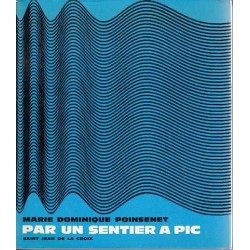 Par un sentier à pic - Marie Dominique Poinsenet