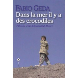 Dans la mer il y a des crocodiles - Fabio Geda