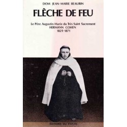 Flèche de feu - Dom...