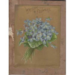 Wayside Flowers - arranged...